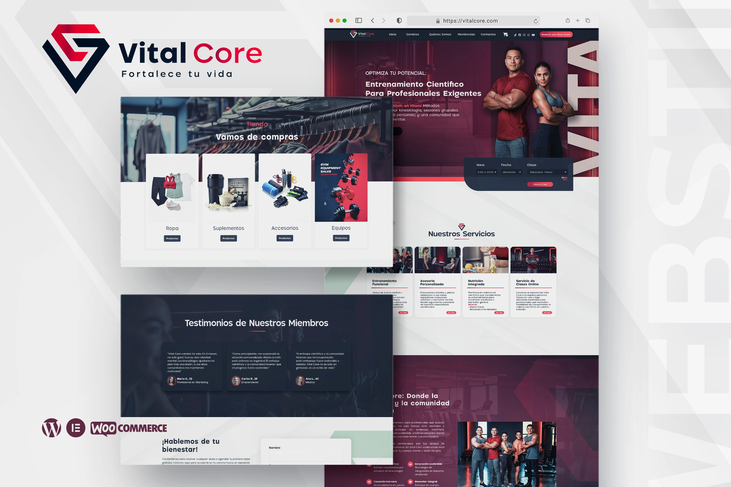 Diseño web en Miami para empresas